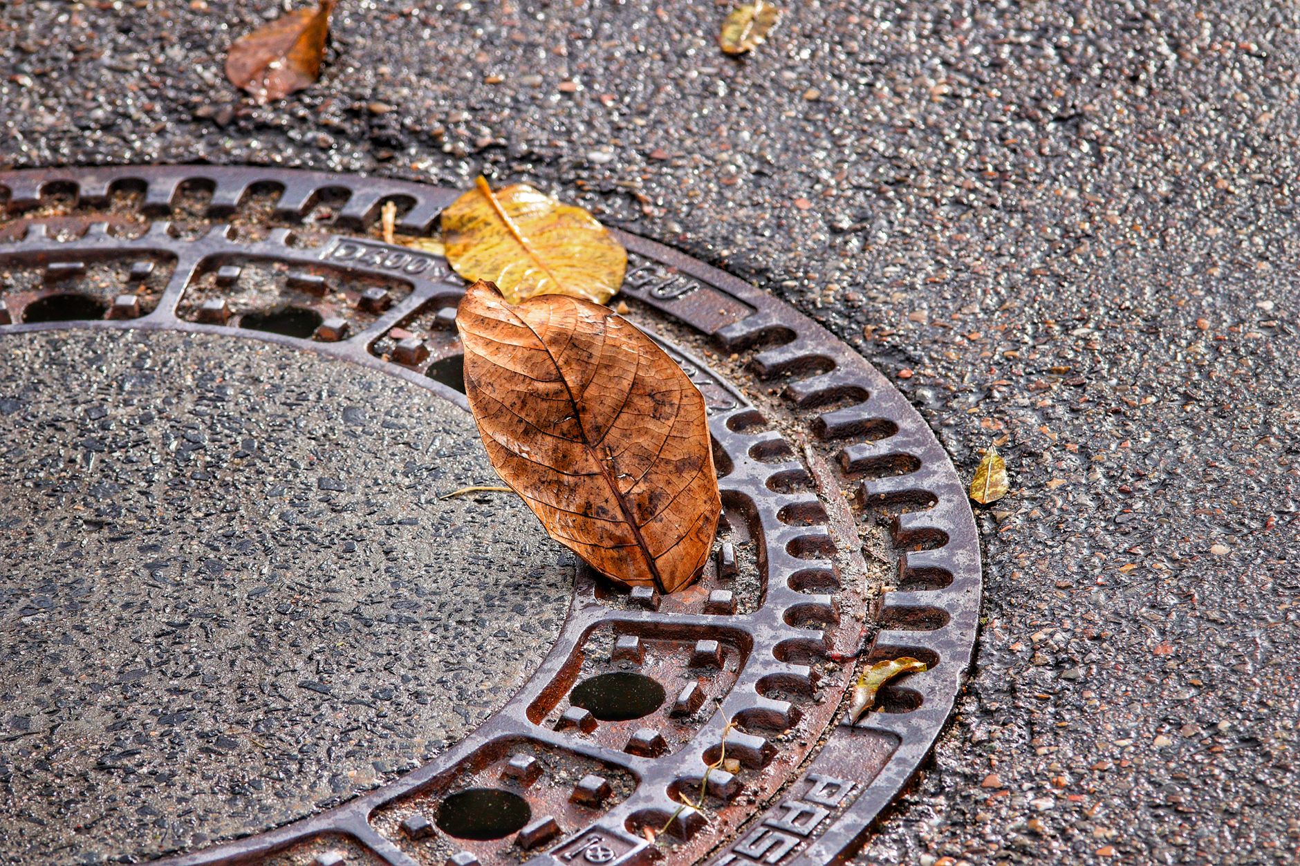 Seven Costly Errors People Make Before Replacing a Sewer Line